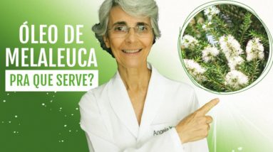 Óleo de melaleuca: conheça seus milagres para a pele