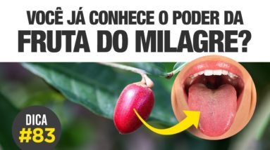 É incrível o que essa FRUTA pode fazer [DICA #83] 👉👅