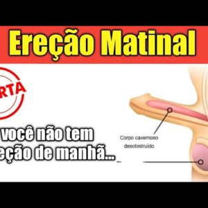 AUSÊNCIA DE EREÇÃO MATINAL PODE SER UMA ALERTA PARA...