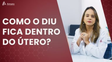 Como que o DIU fica dentro do útero?