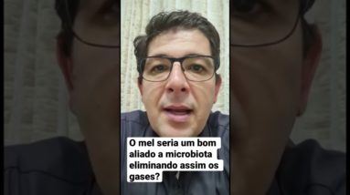 O mel seria um bom aliado a microbiota eliminando assim os gases?