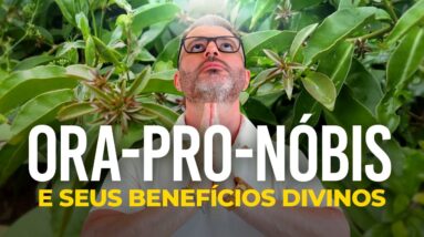 Os benefícios da ORA-PRO-NÓBIS vão te surpreender (PANC) 🤯🌿