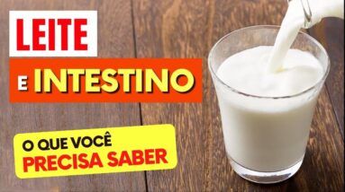 LEITE e INTESTINO - O que você PRECISA SABER!