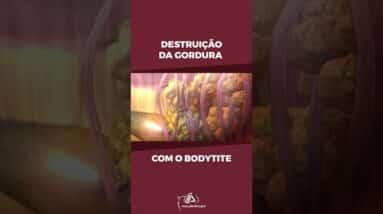 Destruição da Gordura como o Bodytite