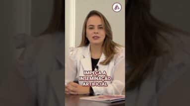 Inseminação artificial  uma opção para casais jovens e saudáveis