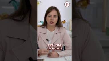 Aumento exagerado de fungos na vagina causa infecção fúngica